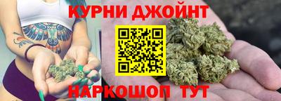 шишки Донской