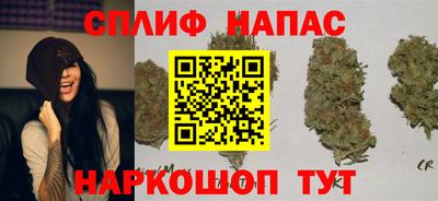шишки Донской
