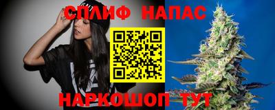 шишки Донской