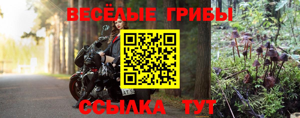 Псилоцибиновые грибы мухоморы Миллерово